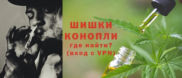 мяу мяу кристалл Богданович