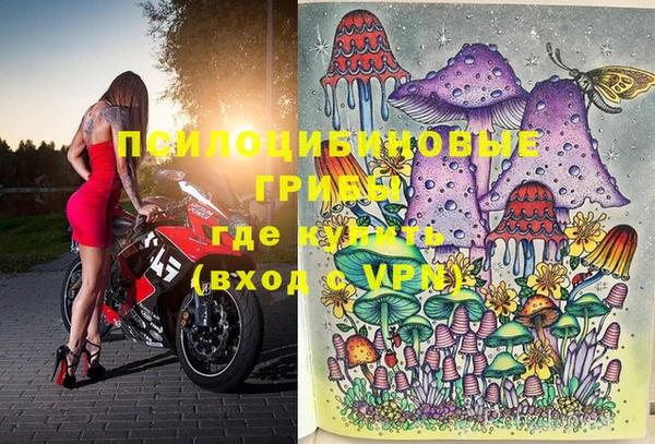 мяу мяу кристалл Богданович