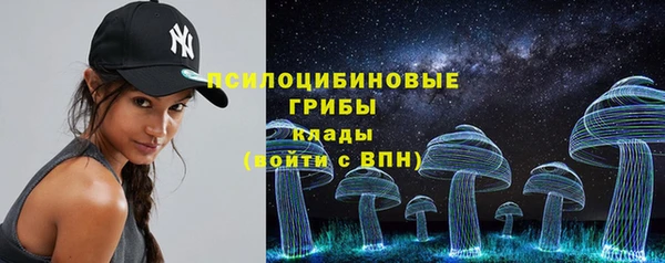 мескалин Богородицк