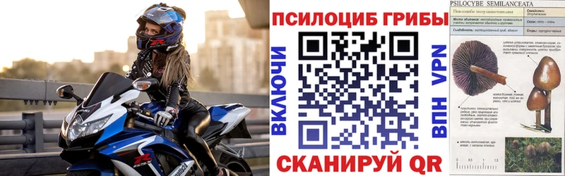 Псилоцибиновые грибы мухоморы  Новокубанск 